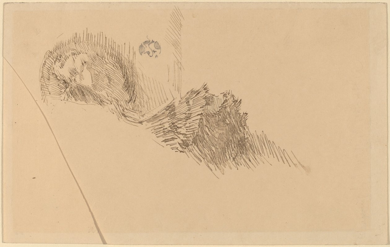 Sra. o Srta. McNay de James Abbott McNeill Whistler