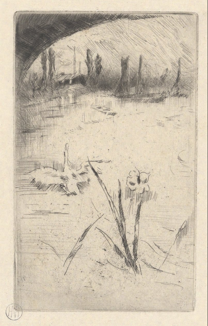 cisne e iris de James Abbott McNeill Whistler