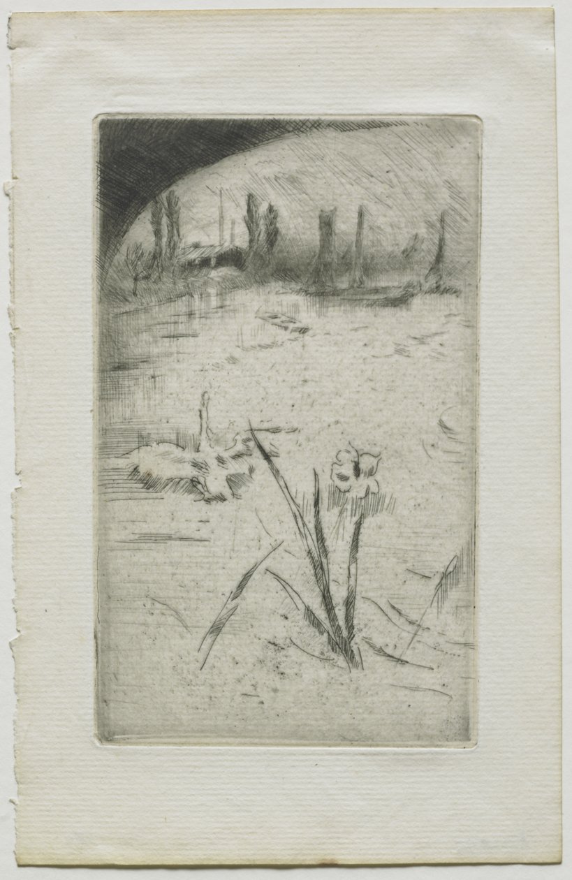 Cisne e iris de James McNeill Whistler
