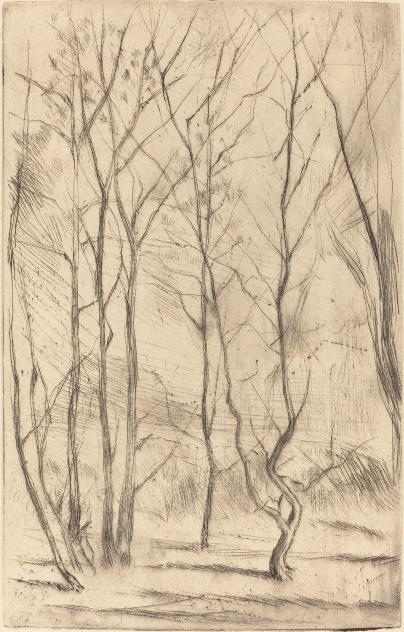 El Bosque de la Presa de James Abbott McNeill Whistler