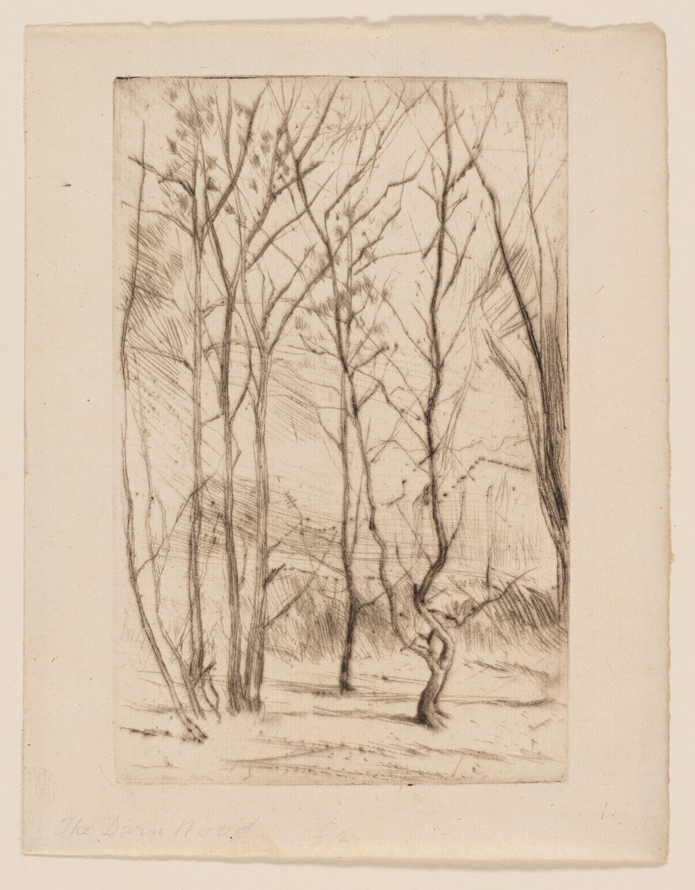 El bosque de la presa de James Abbott McNeill Whistler