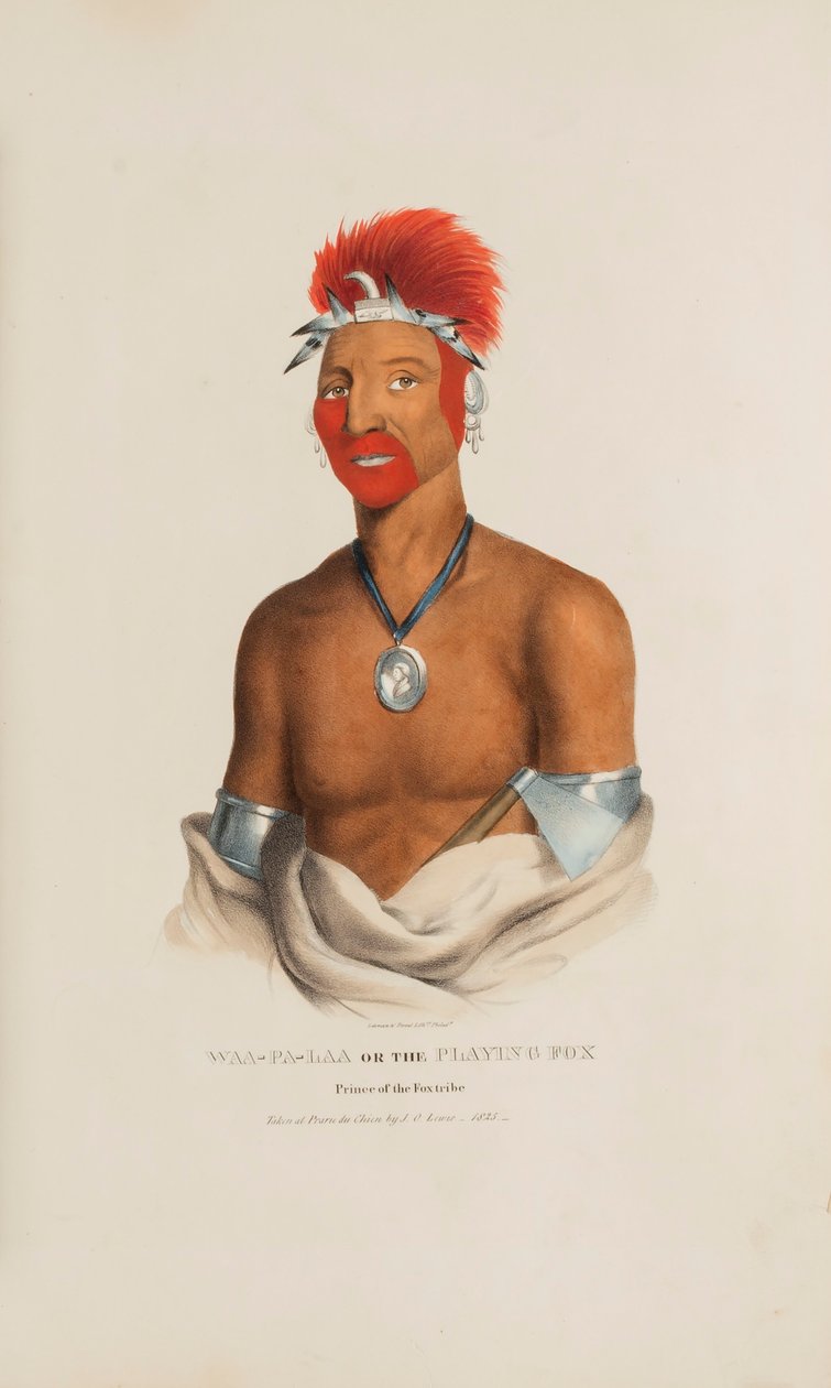 WAA-PA-LAA o el Zorro Jugador; Príncipe de la Tribu de los Zorros, de The Aboriginal Portfolio de James Otto Lewis
