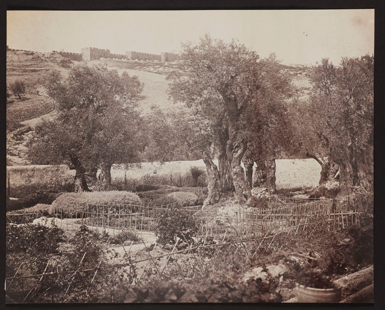 Getsemaní [Jerusalén. Monte de los Olivos] de James Robertson