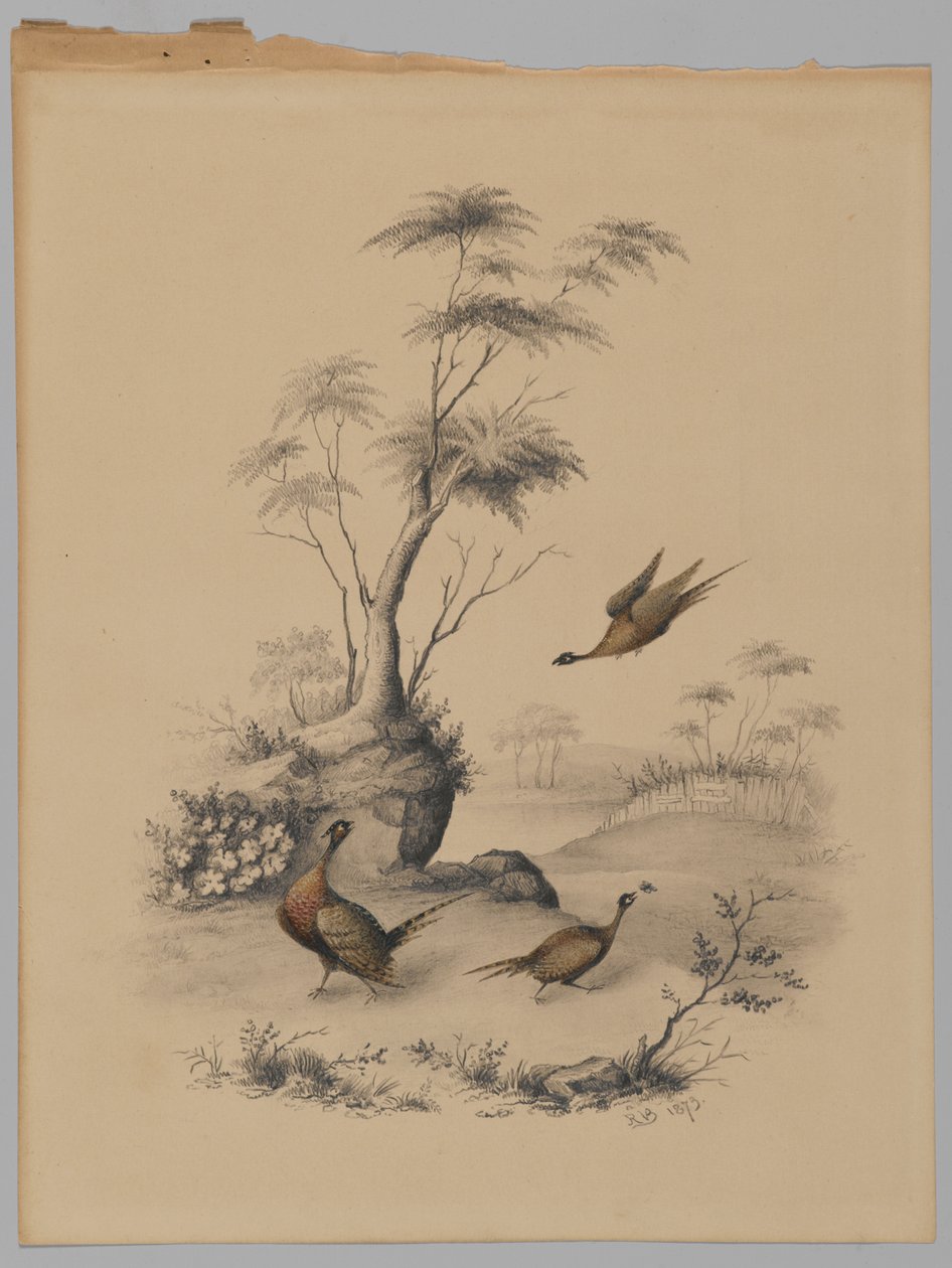 Tres faisanes, 1873 de James Ryder van Brunt
