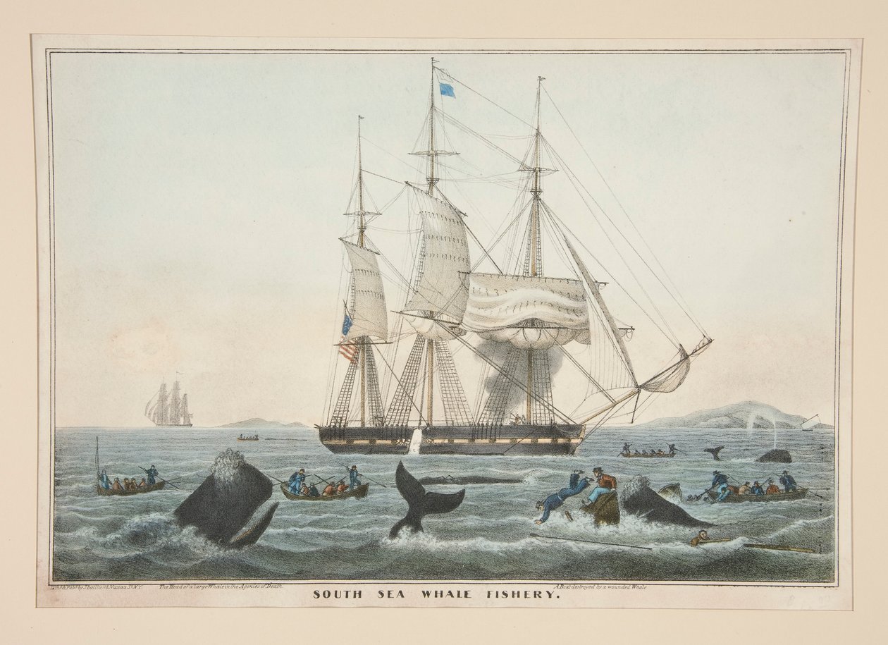 Pesquería de Ballenas del Mar del Sur de James S. Baillie