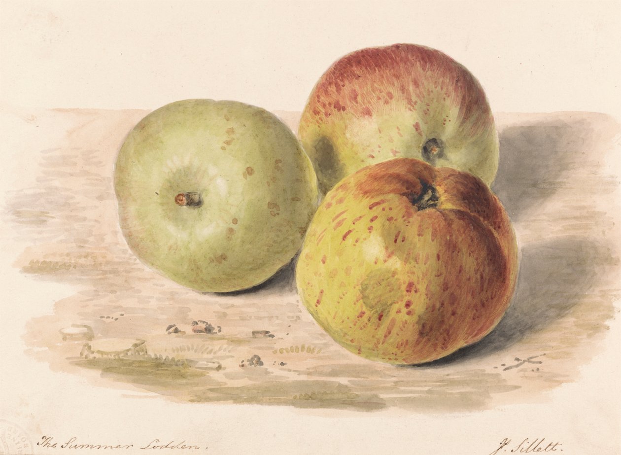 The Summer Lodden, Sept. 1832: Bodegón de tres manzanas de James Sillett