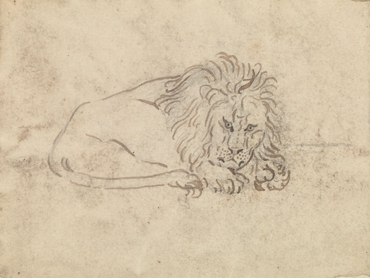 Un León de James Sowerby