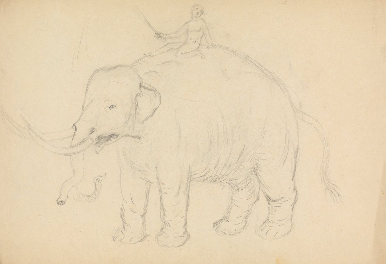 Elefante con jinete de James Sowerby