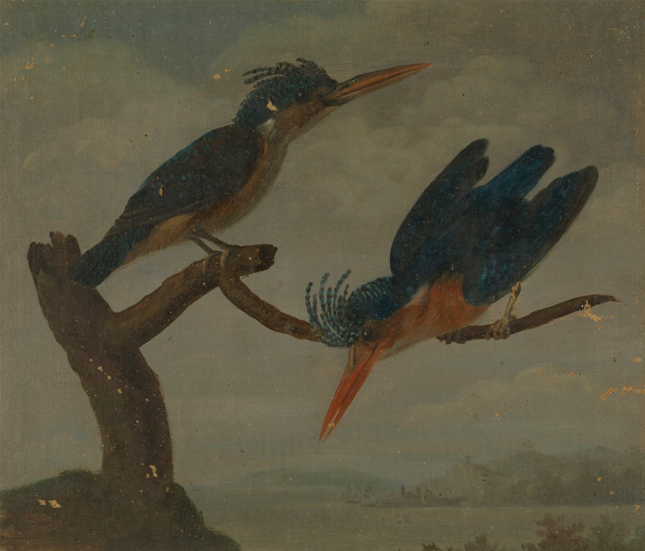 Dos martines pescadores junto a un lago de James Sowerby