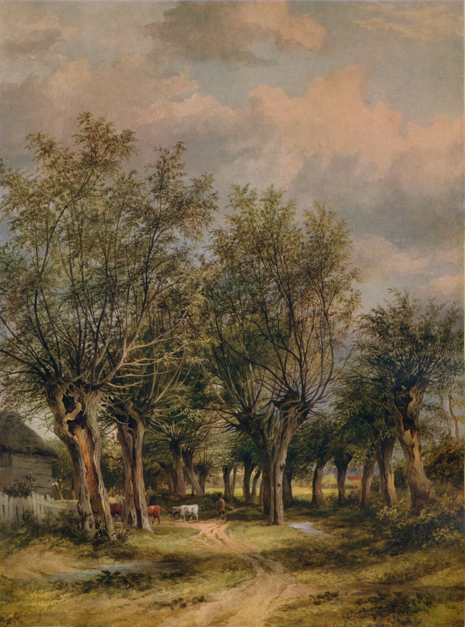 Un camino cerca de Norwich, c1837 de James Stark