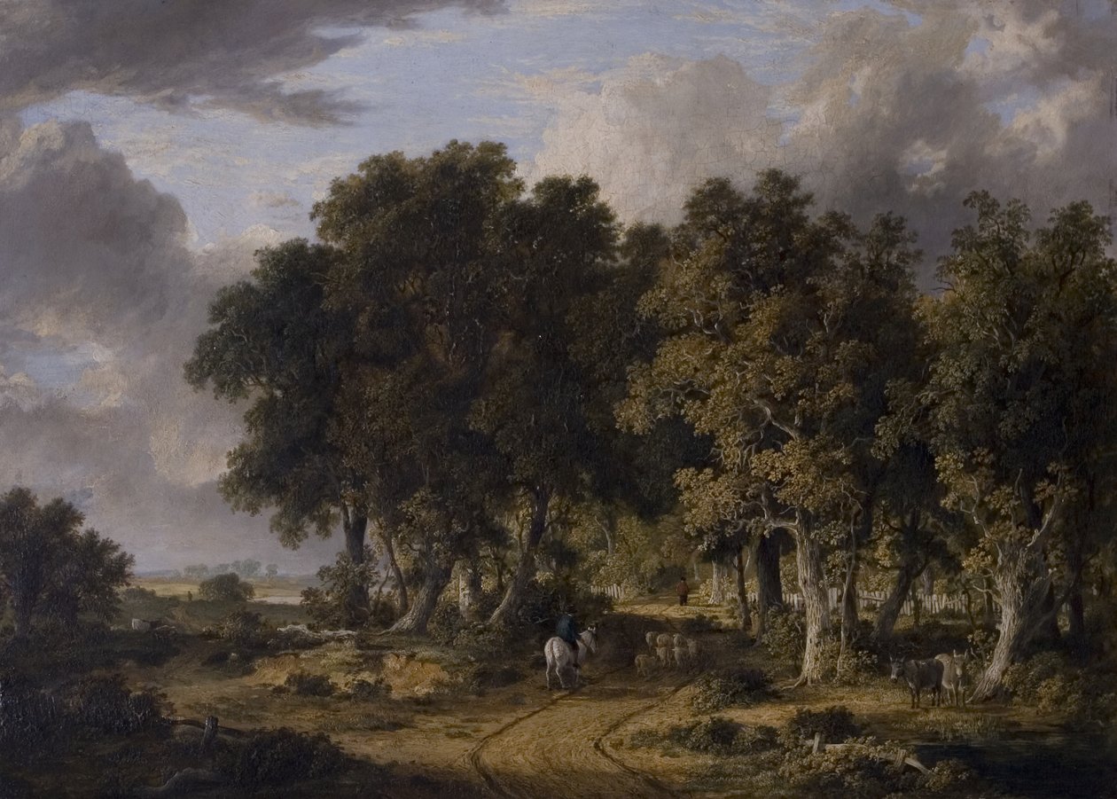 Una vista en el Nuevo Bosque, mediados del siglo XIX de James Stark