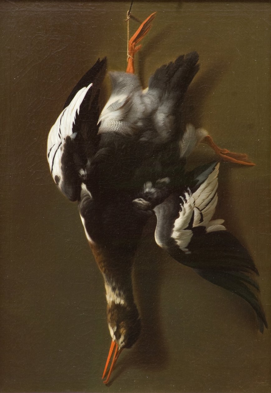 Aves muertas, c.1815 (óleo sobre lienzo) de James Thom