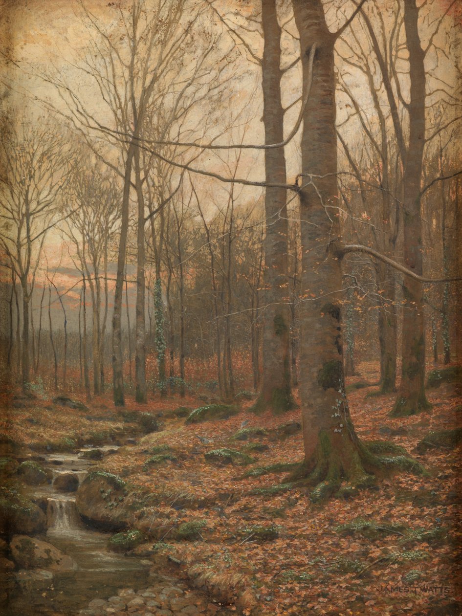 Invierno en el bosque, Betws-y-Coed (acuarela y bodycolour) de James Thomas Watts