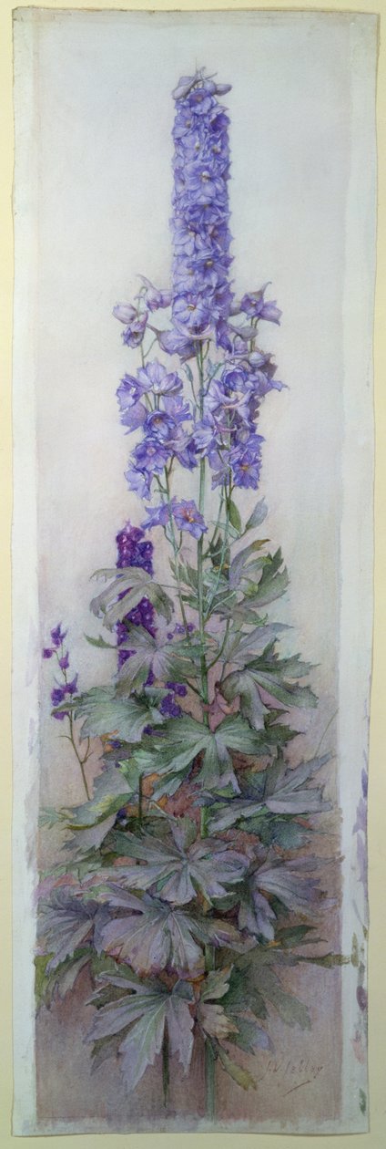 Delphiniums de James Valentine Jelley