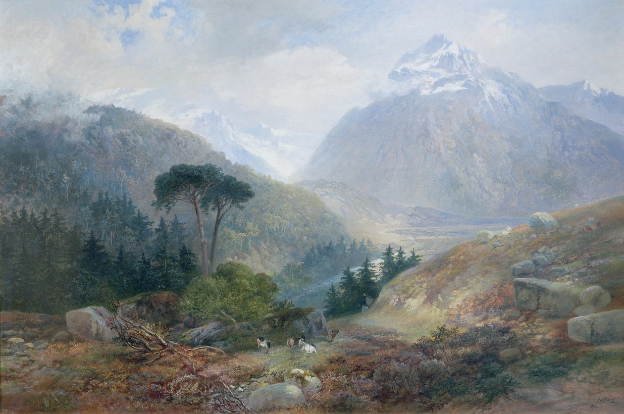La vista hacia el Fenderthal, Tirol, 1870 de James Vivien de Fleury