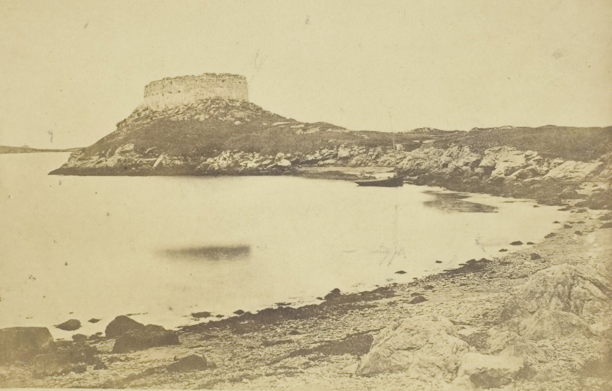 Fort Dumplings, 1859-74 de James Wallace Black