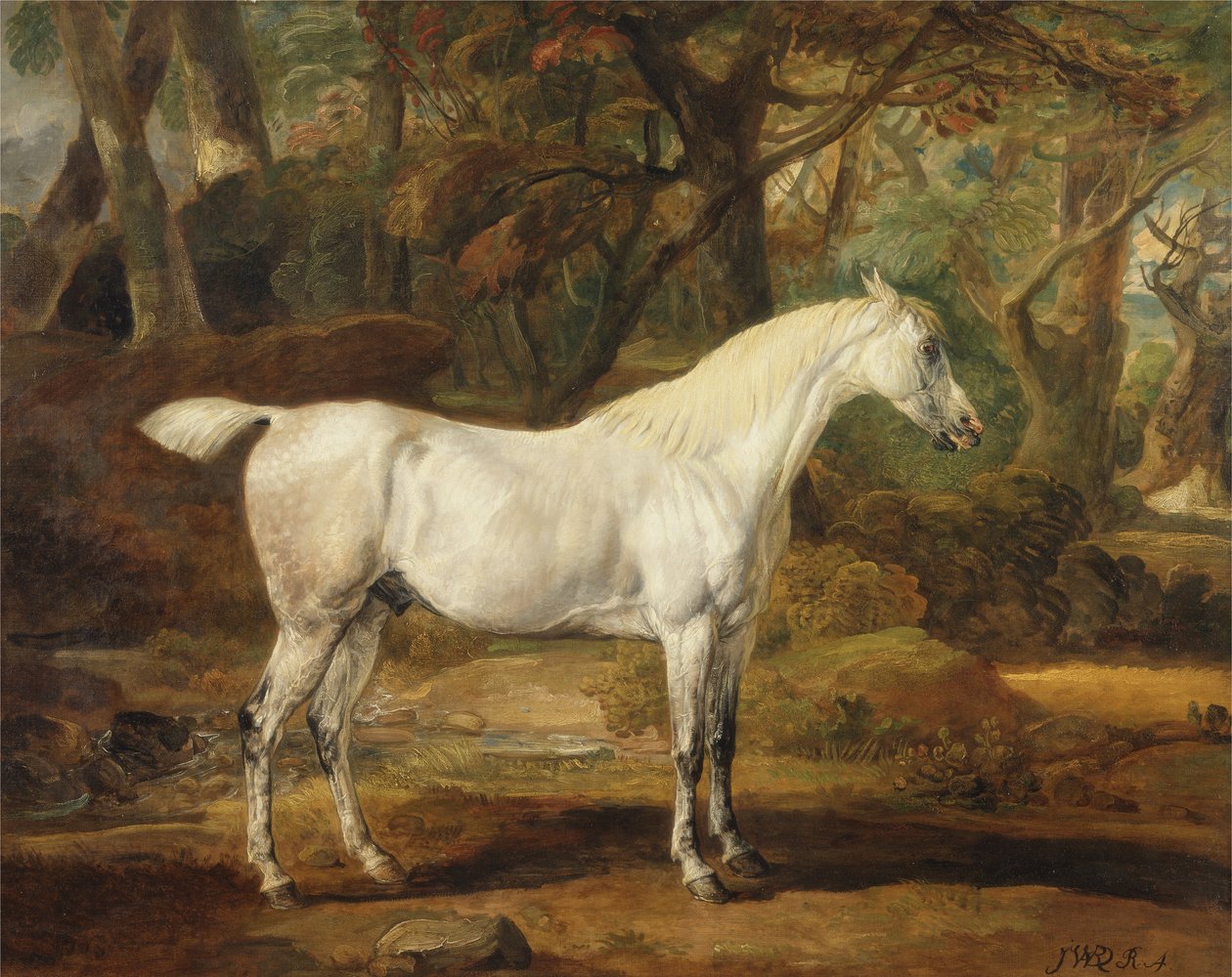Un Semental Árabe Gris, Propiedad de Sir Watkin Williams-Wynn de James Ward