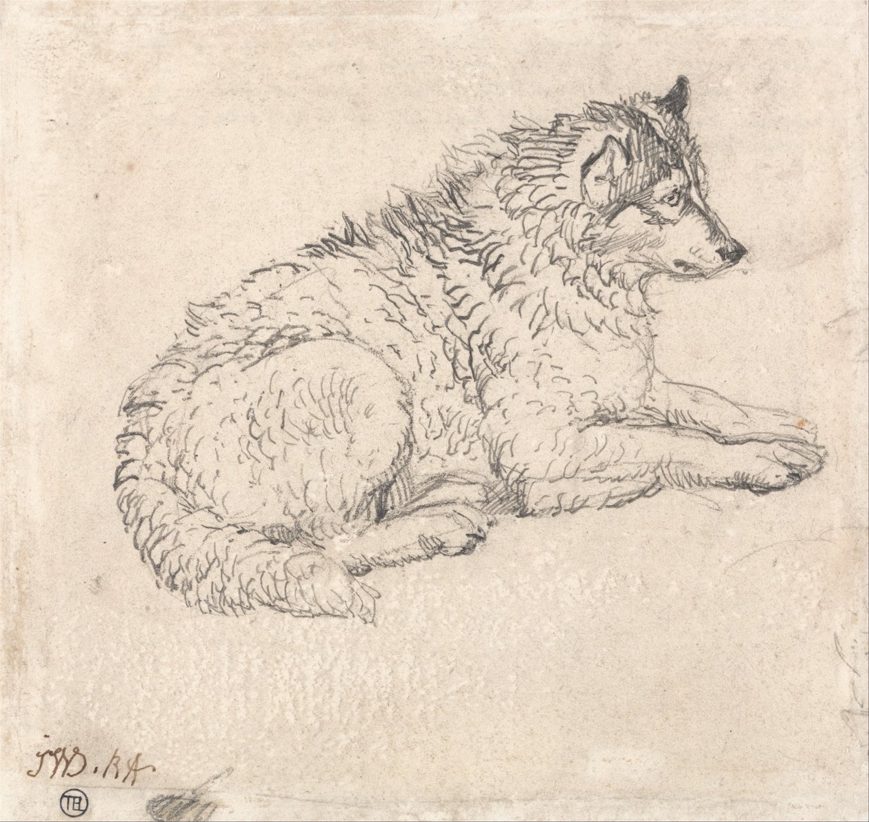 Perro del Ártico, mirando a la derecha de James Ward