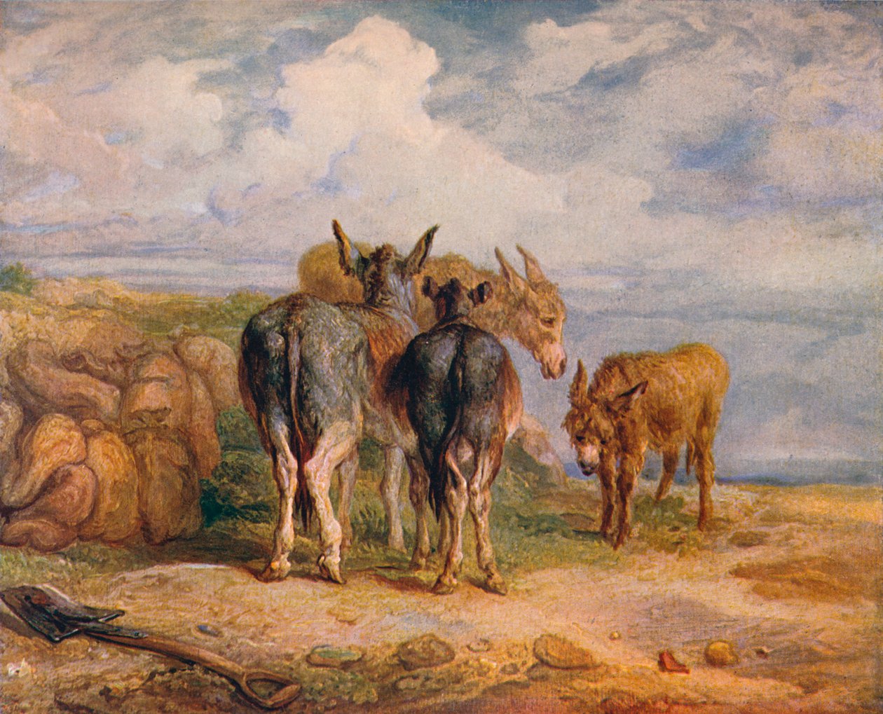 Burros, c1831 de James Ward