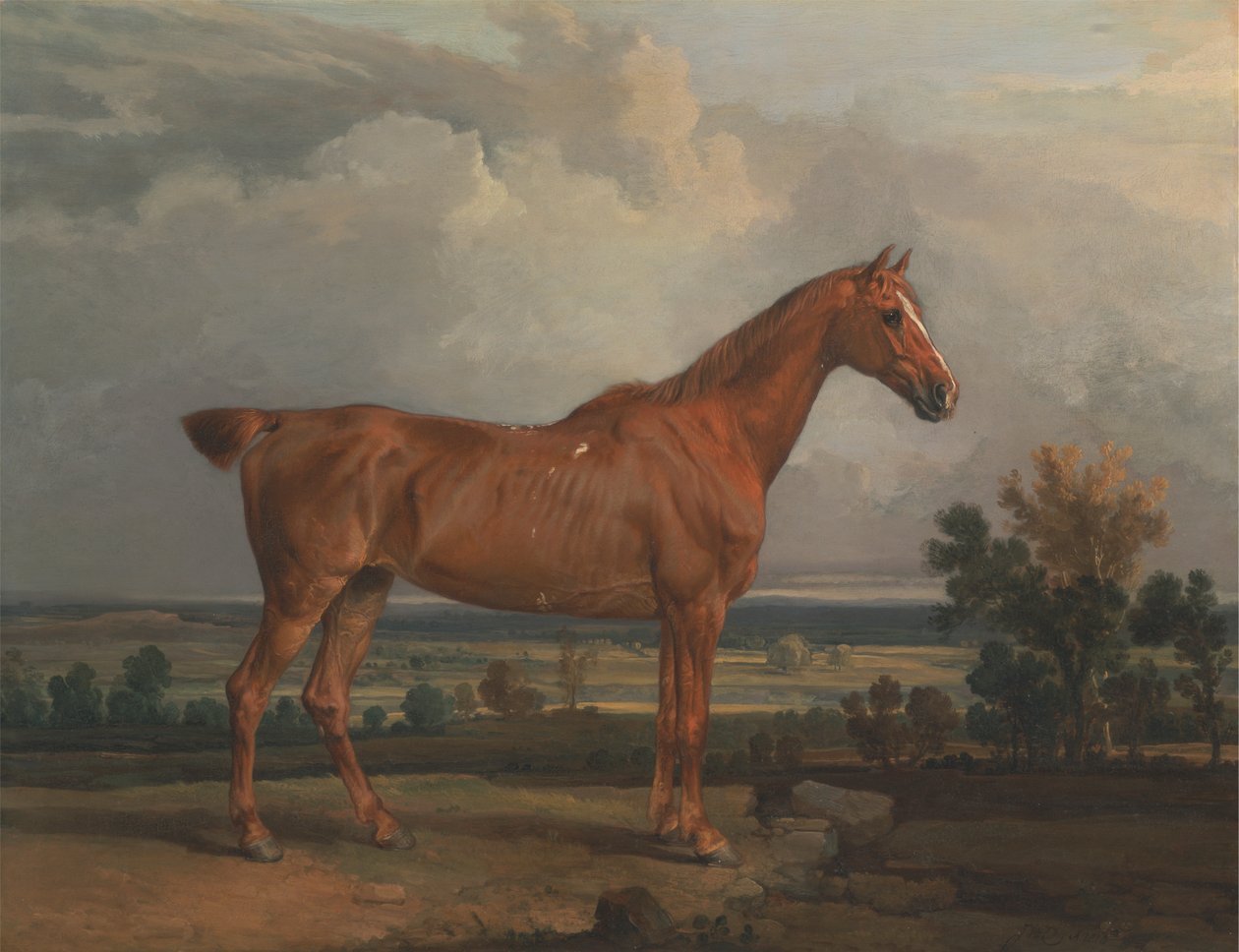 Cazador en un paisaje de James Ward