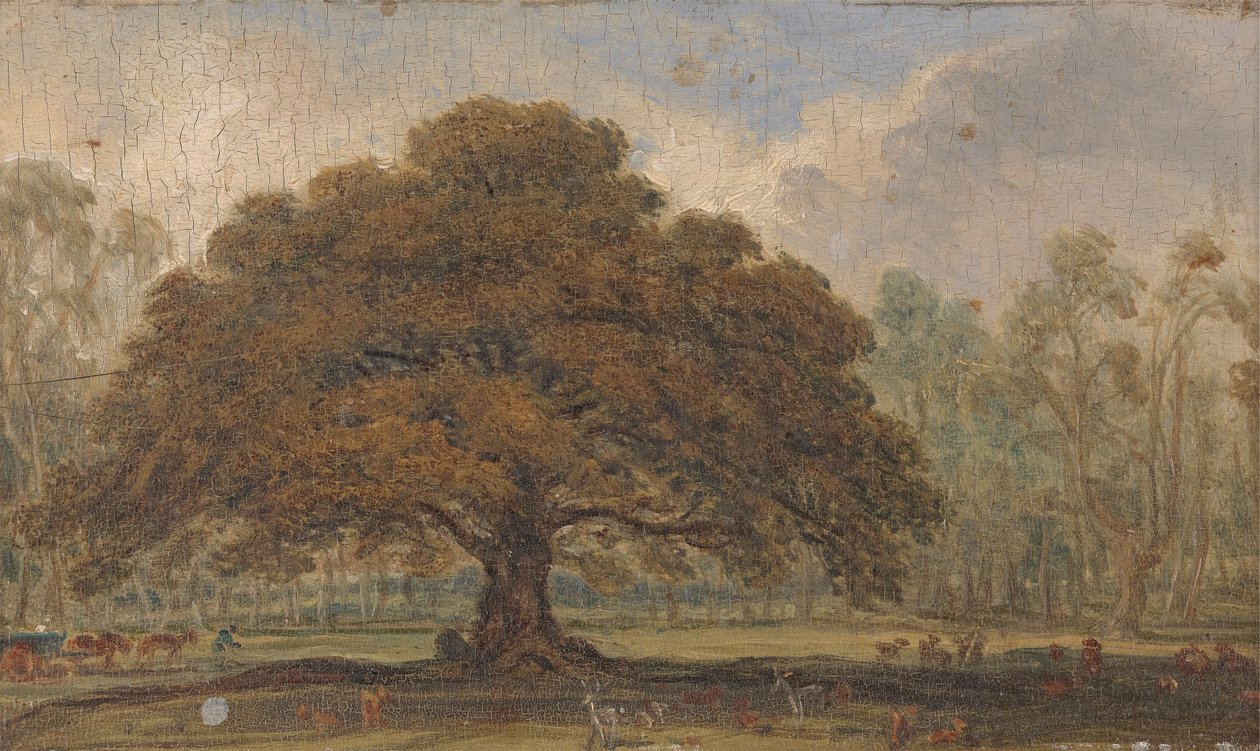 Paisaje con ciervos bajo "El roble de los mendigos", Parque de Dagot... de James Ward