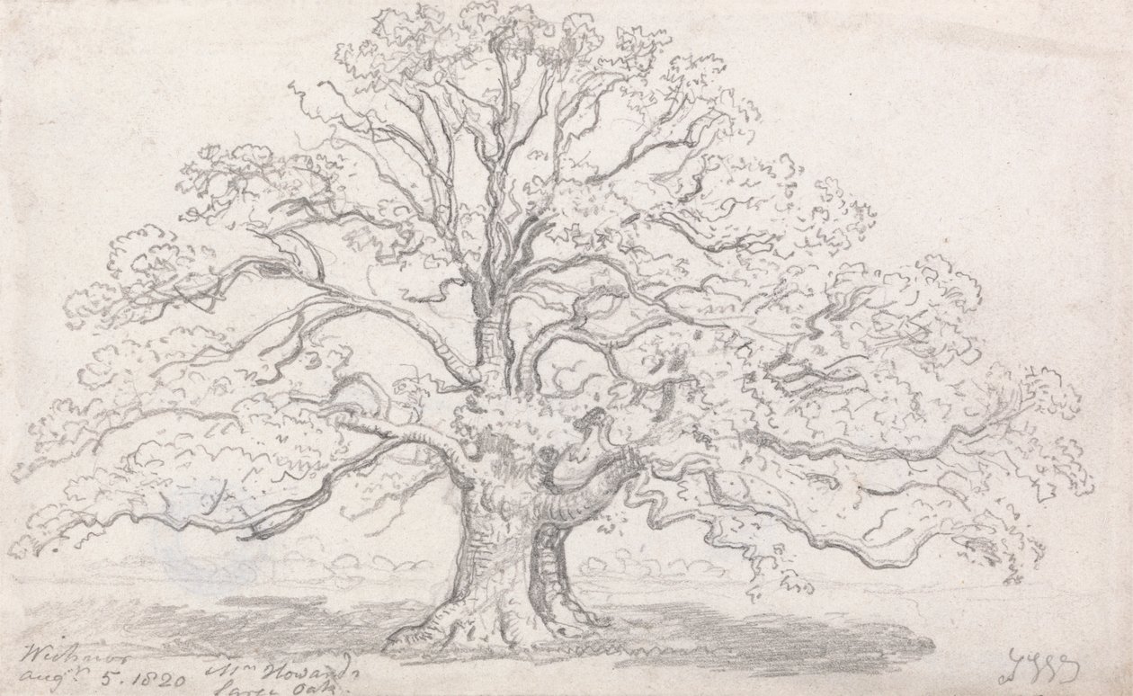 El gran roble del Sr. Howard, 5 de agosto de 1820 de James Ward