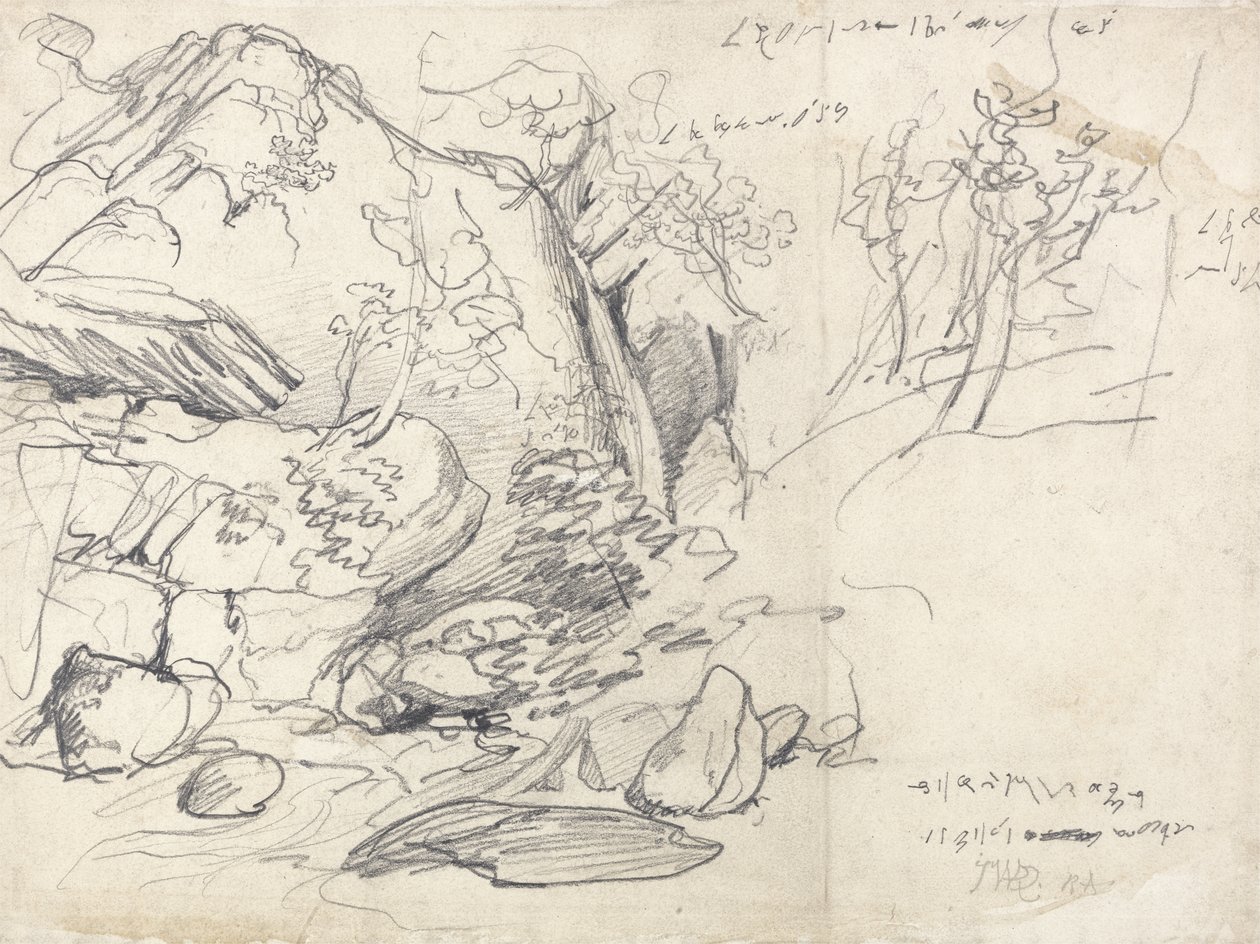 Estudio de una Montaña con Árboles de James Ward