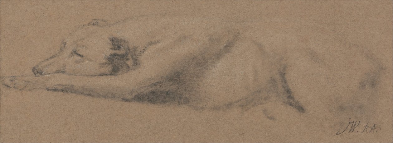 Estudio de un perro dormido de James Ward