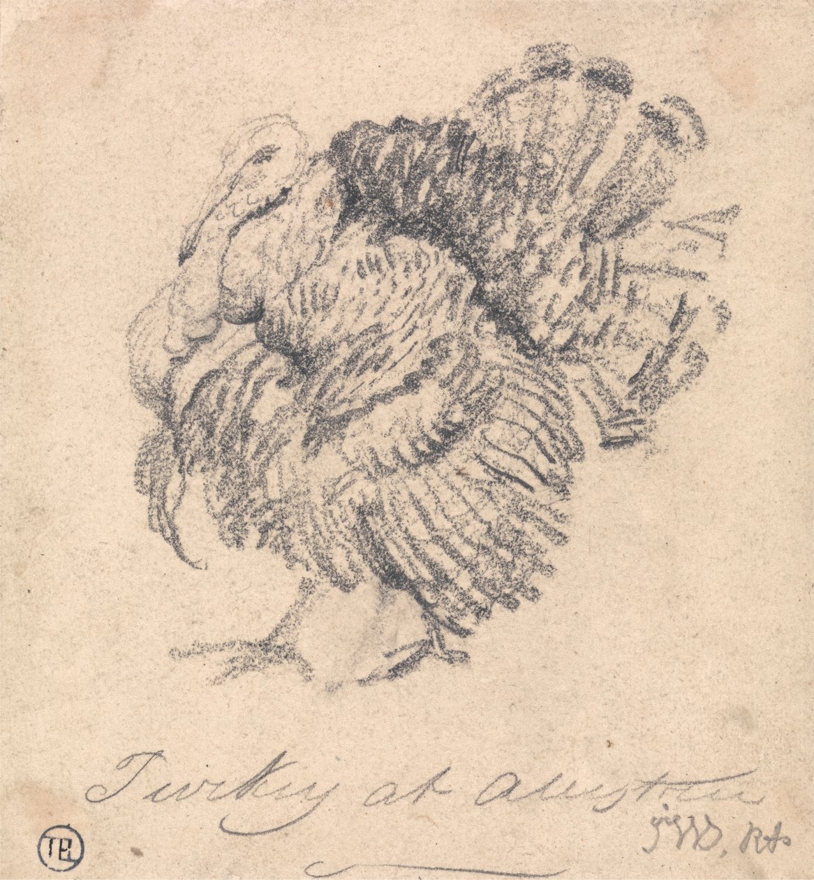 Estudio de un pavo de James Ward