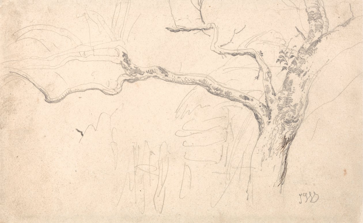 Estudio de árboles de James Ward