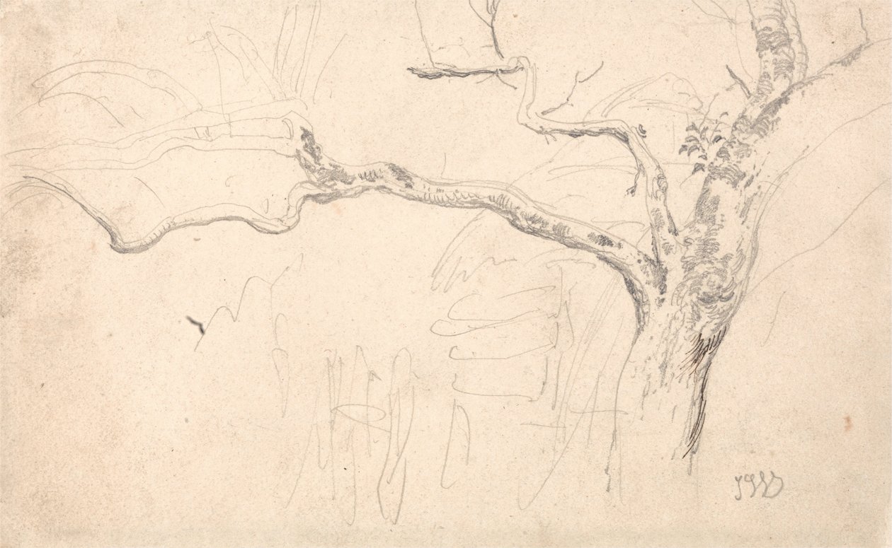 Estudio de árboles de James Ward