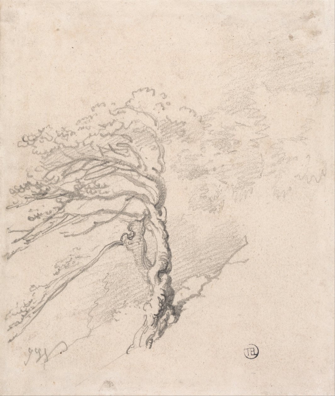 Árbol en una ladera de James Ward