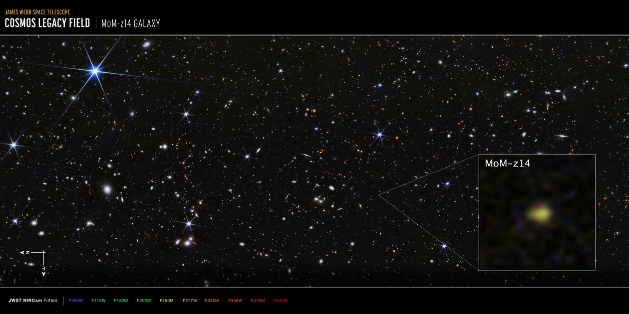 Galaxia MoM-z14 del campo COSMOS (imagen de la NIRCam) de James Webb Space Telescope (NASA)