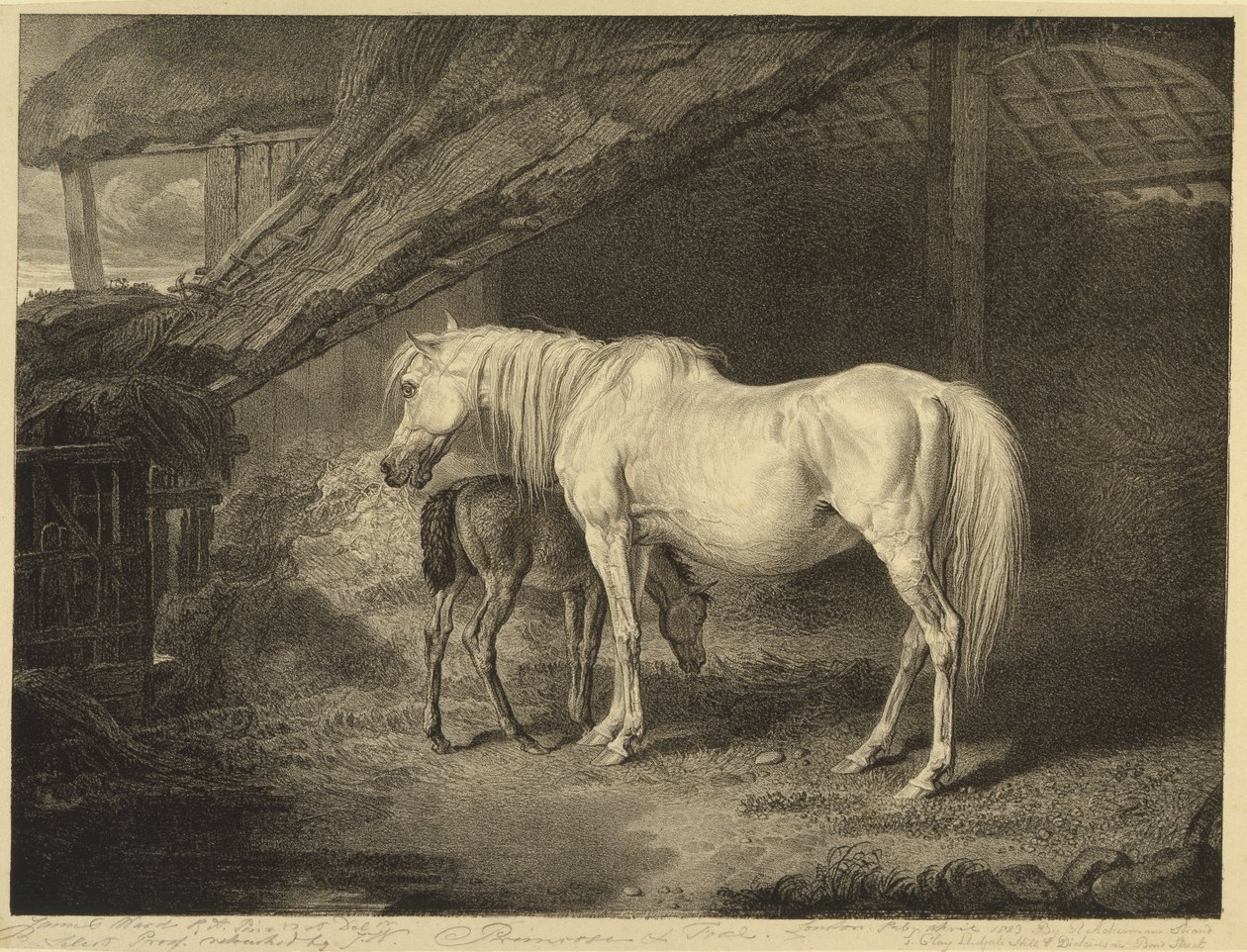 Primrose y potro, de Caballos célebres, un conjunto de catorce grabados de carreras publicados por el artista, 1823-24 de James after Ward