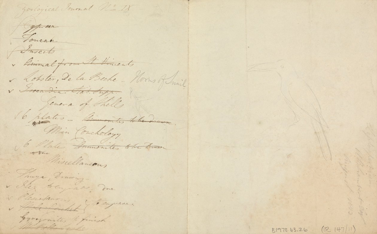 Tres tucanes de James de Carle Sowerby