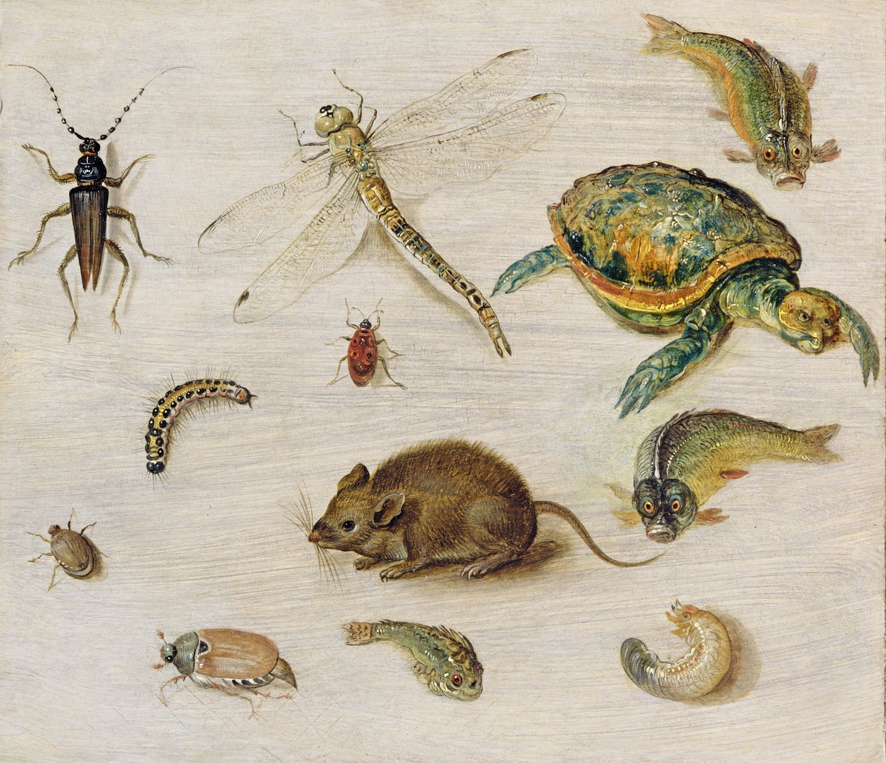 Estudio de insectos, criaturas marinas y un ratón de Jan the Elder Brueghel
