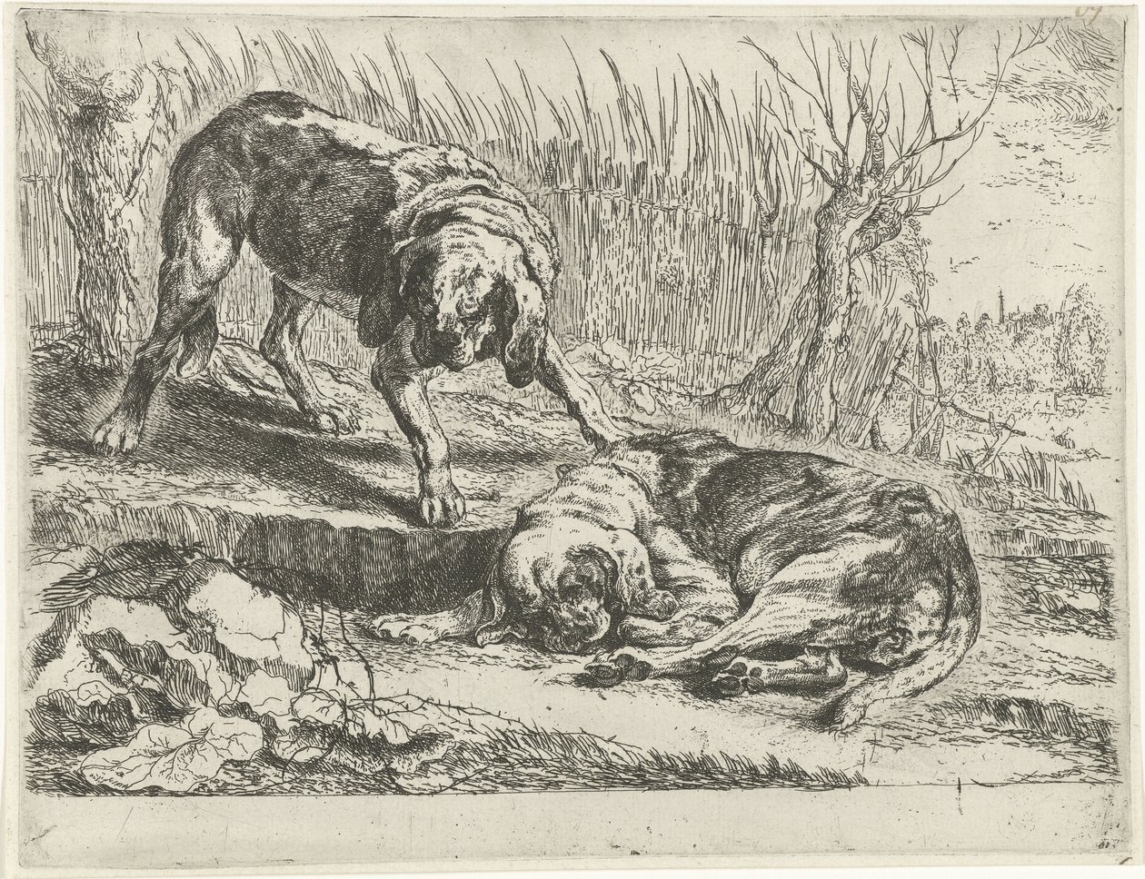 Dos perros de Jan Fyt