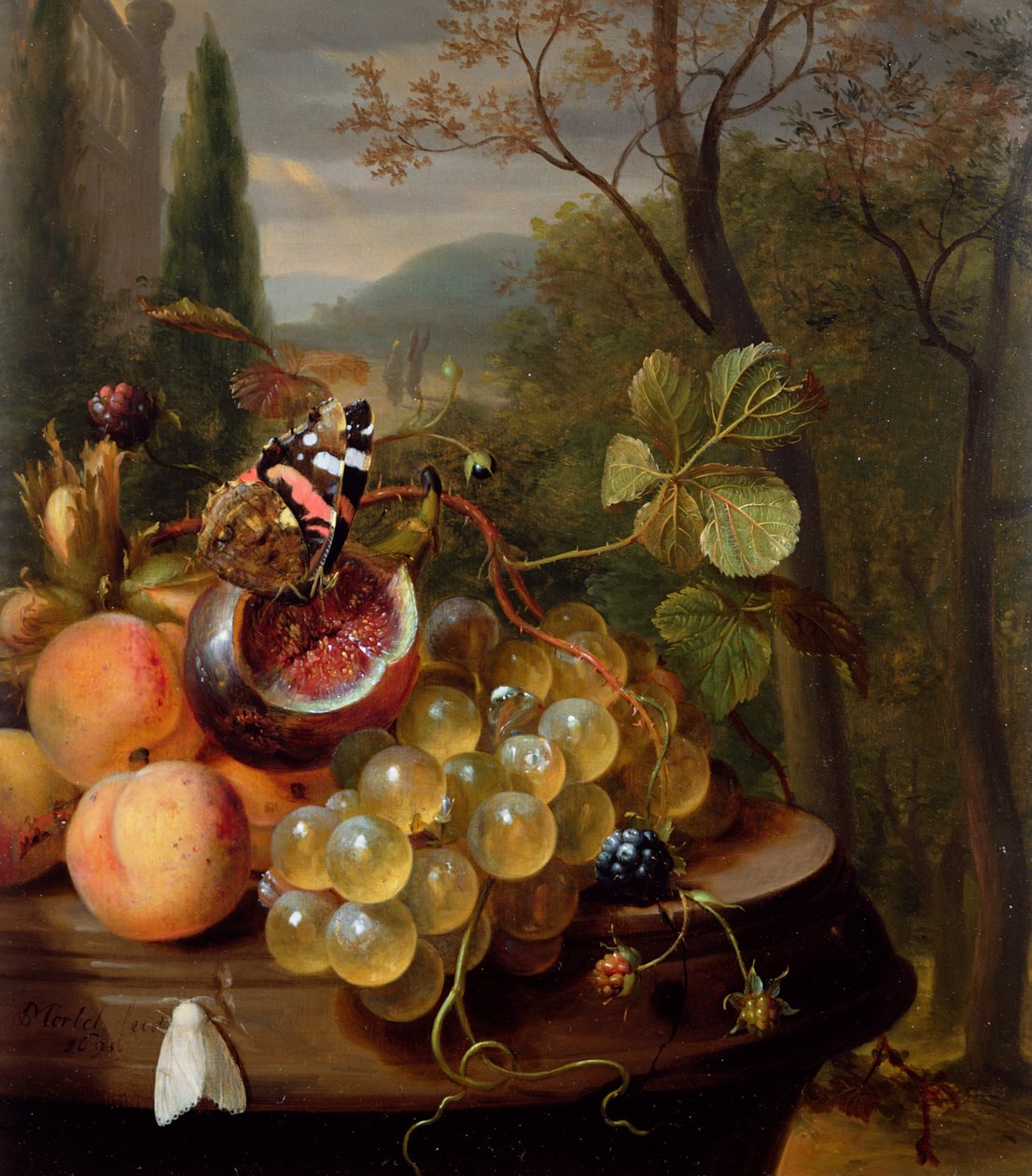 Naturaleza Muerta con Frutas y Mariposas de Jan Mortel
