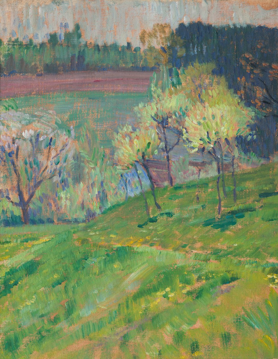 Huerto en flor de Jan Preisler