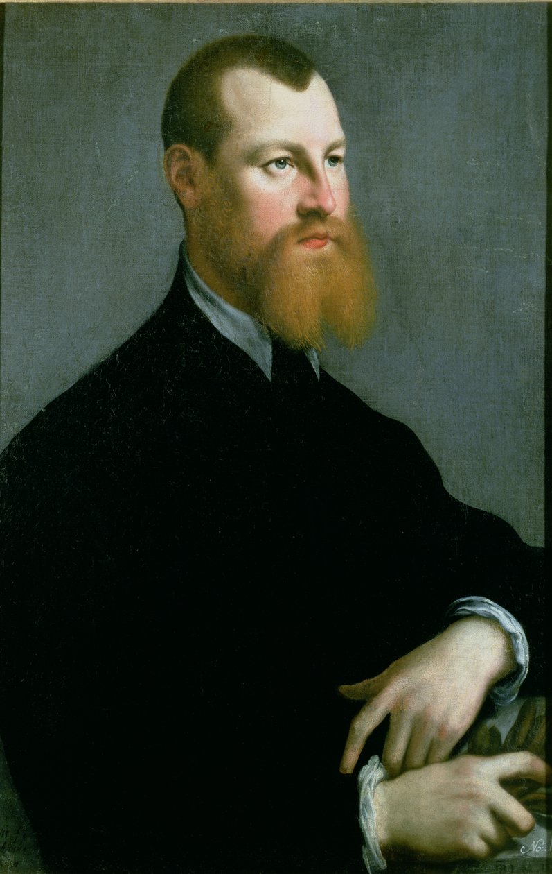 Retrato de un hombre con barba pelirroja, siglo XVI de Jan Stephen van Calcar