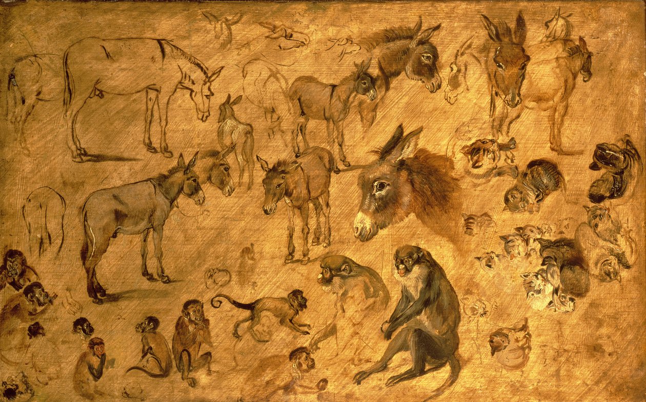 Estudio de burros, gatitos y monos, 1616 de Jan the Elder Brueghel