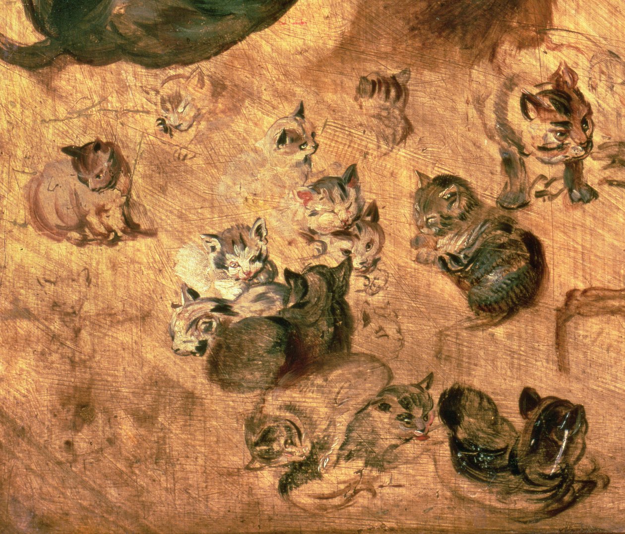 Estudio de gatos, 1616 (detalle) de Jan the Elder Brueghel