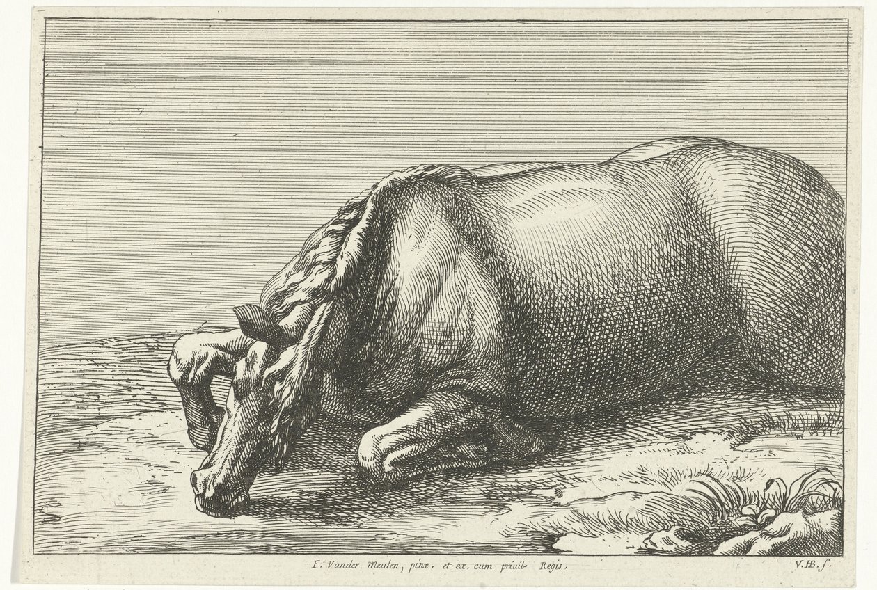 Caballo muerto visto desde el lado izquierdo de Jan van Huchtenburgh