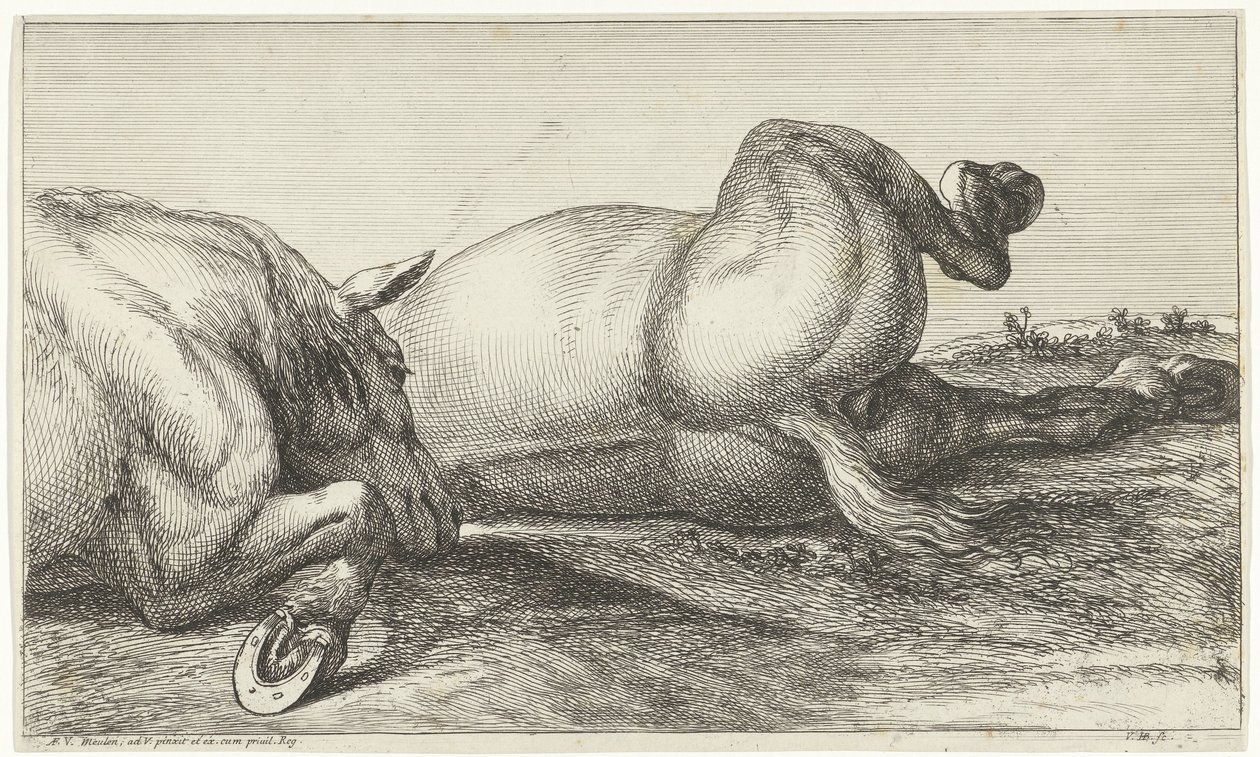 Dos caballos muertos en acción tumbados en fila de Jan van Huchtenburgh