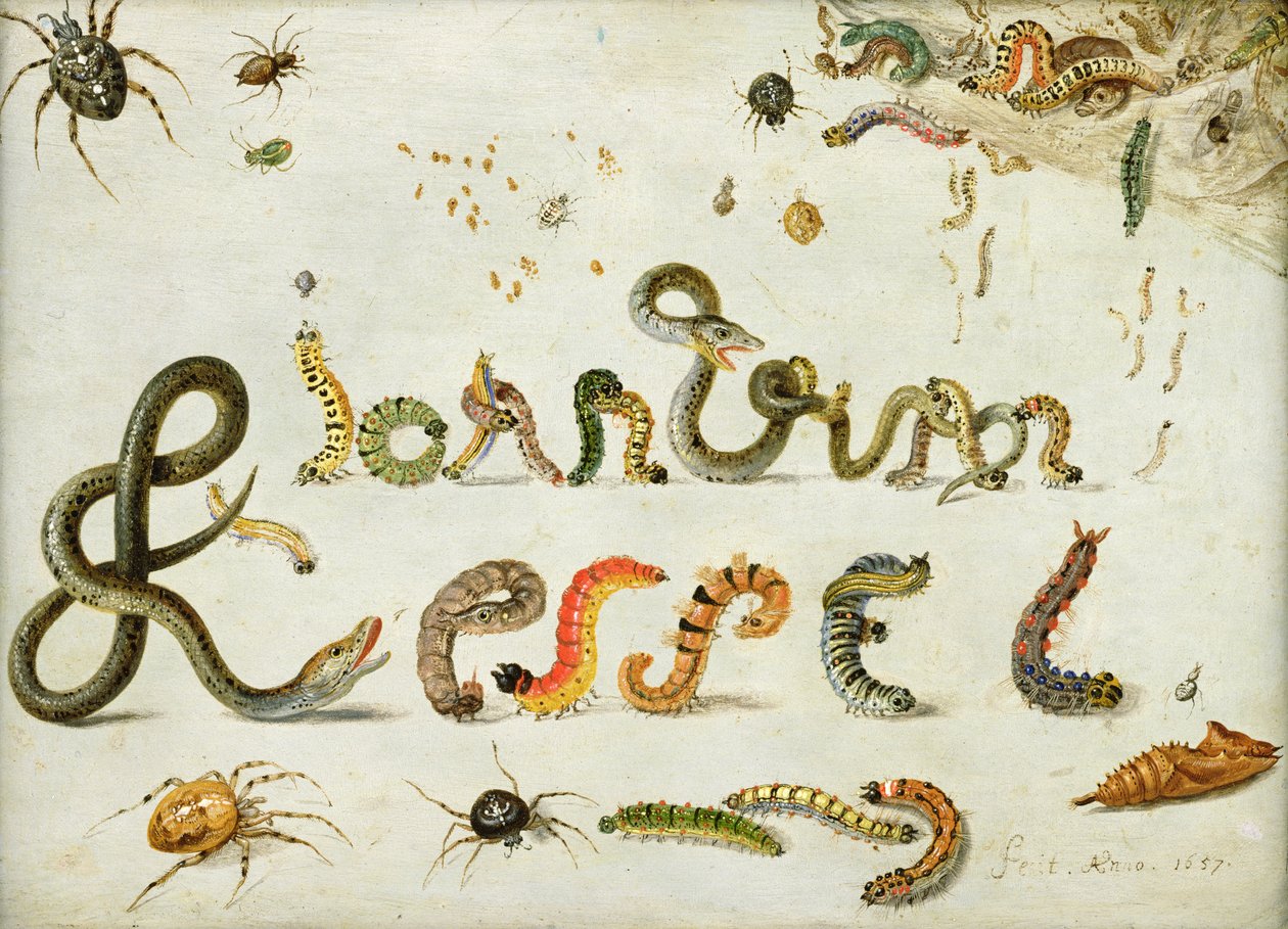 Jardín y otras arañas, orugas deletrean el nombre del artista, 1657 de Jan van Kessel the Elder