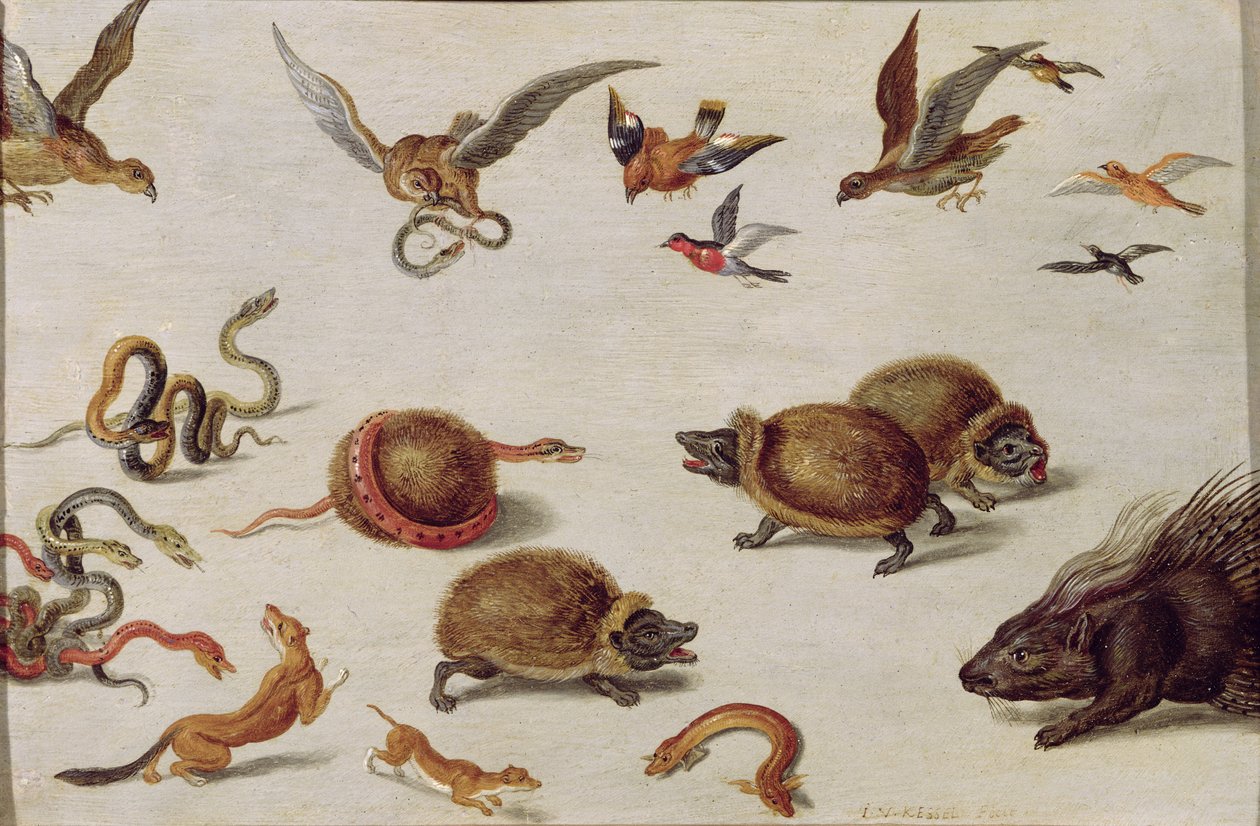 Los enemigos de las serpientes de Jan van Kessel the Elder