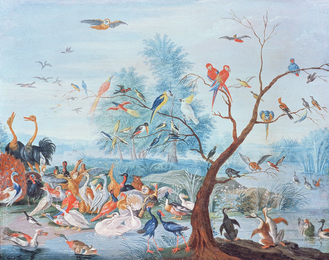 Aves tropicales en un paisaje de Jan van Kessel the Elder