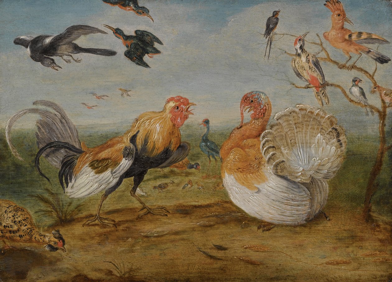 Un paisaje con un gallo y un pavo peleando, y otras aves de Jan van Kessel the Elder