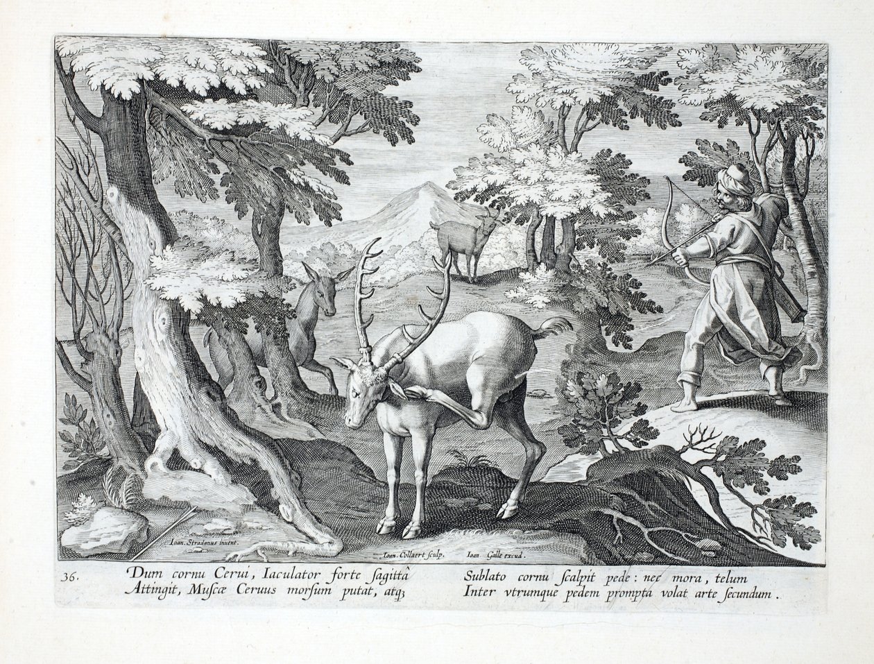 Como un ciervo se rasca las astas con su pie, un cazador, con ambos pies hacia adelante, dispara una flecha por el aire, ilustración de 