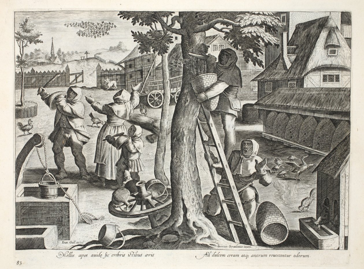 Apicultores, lámina 83, ilustración de 